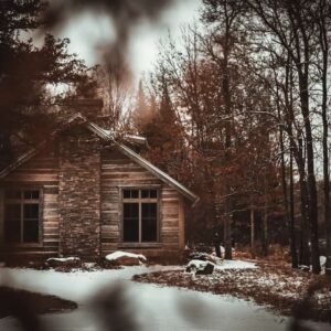 cabane en bois