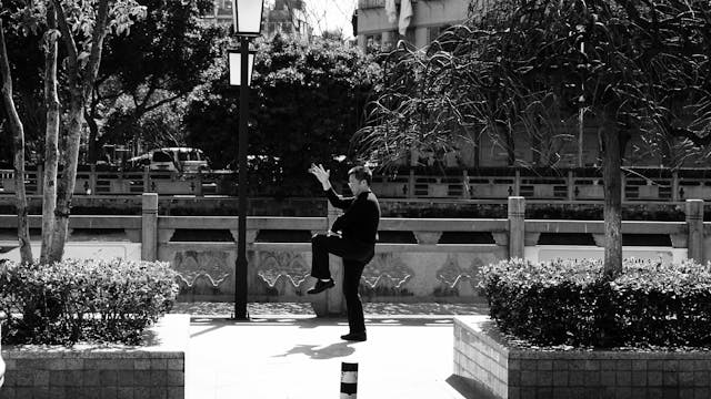Le Tai Chi